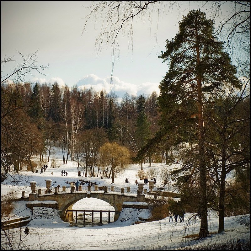 санкт-петербург, павловск, парк, зима, весна почти весенняя зарисовка из Павловска (2) фото превью