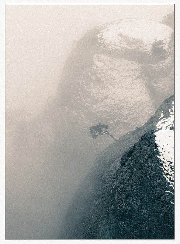 на склонах демерджиphoto preview