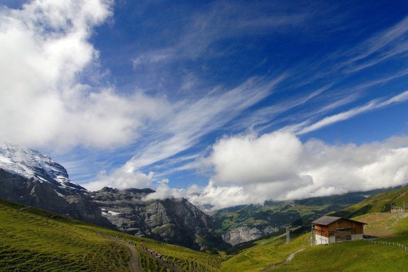 Альпыphoto preview