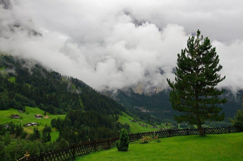 Альпыphoto preview