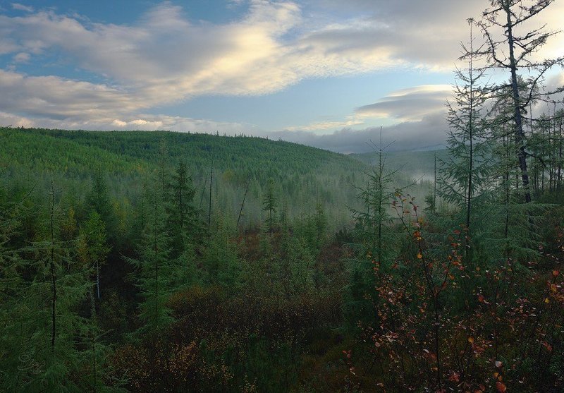 дуссе_алинь, бам, дальний восток Дуссе-Алиньphoto preview