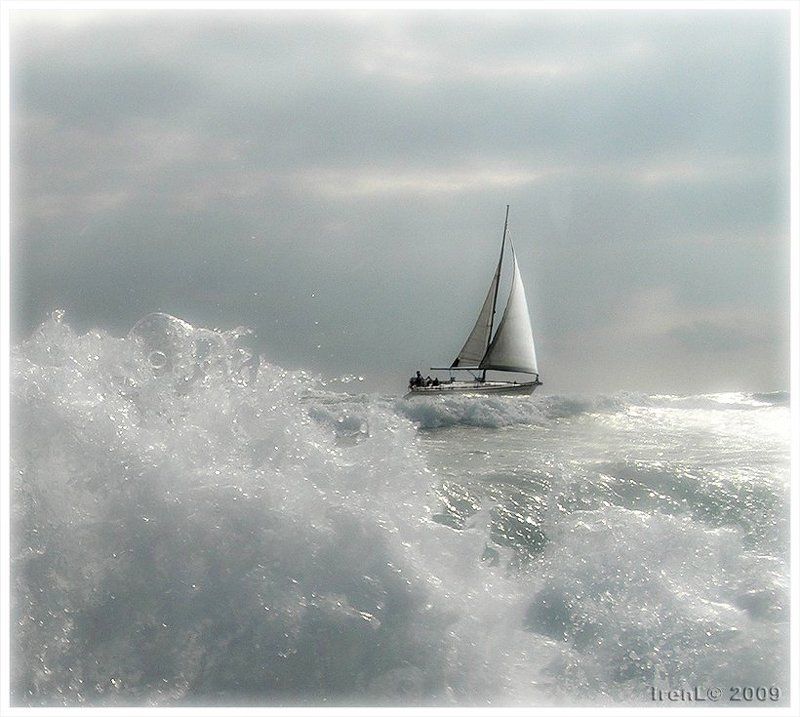 по воле волнphoto preview