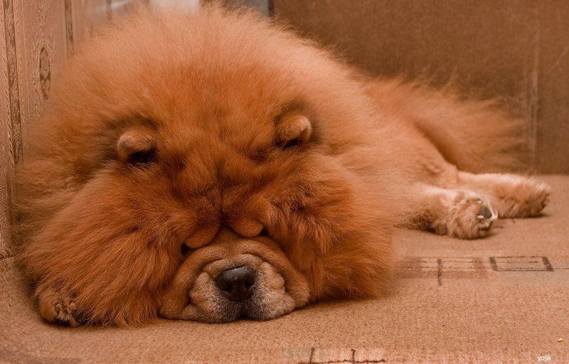 Иногда мы не спим...иногда мы просто подглядываем=)photo preview