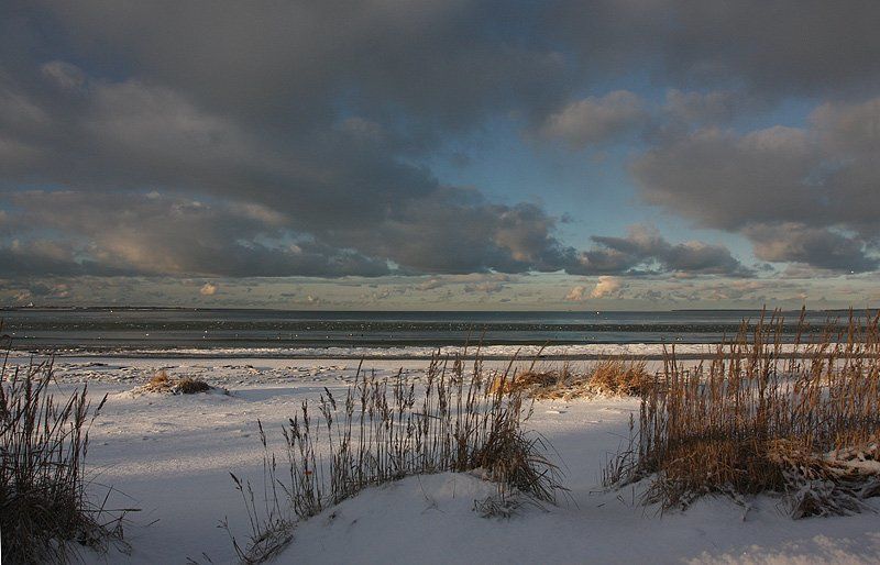 Балтика 2 фото превью