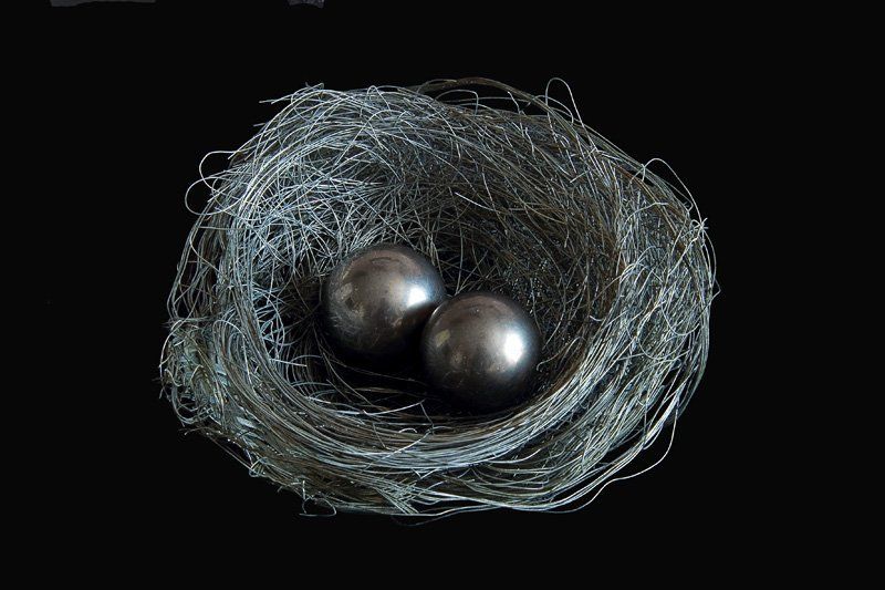 Evolution фото превью