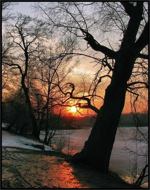 Закат в паркеphoto preview