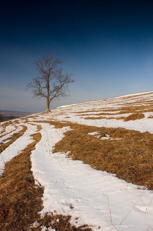 Время Веснаphoto preview