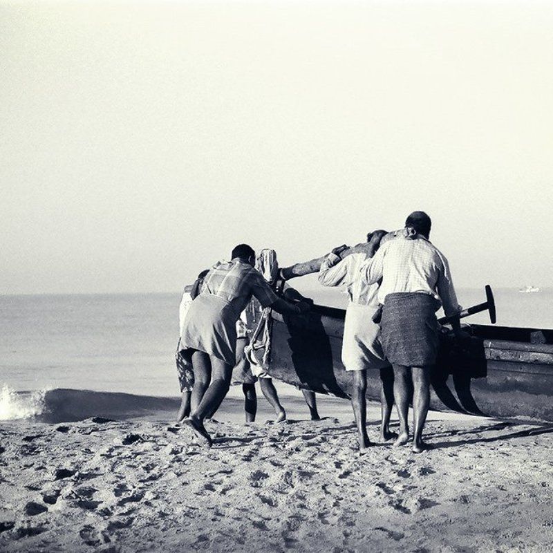 индия, керала, india, kerala, kanghanghat толкай.photo preview