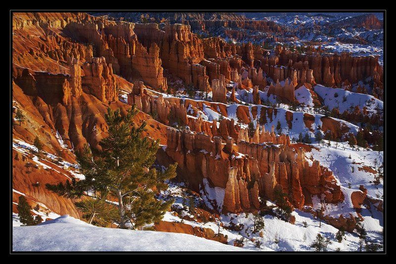 Зима в Мегаполисеphoto preview