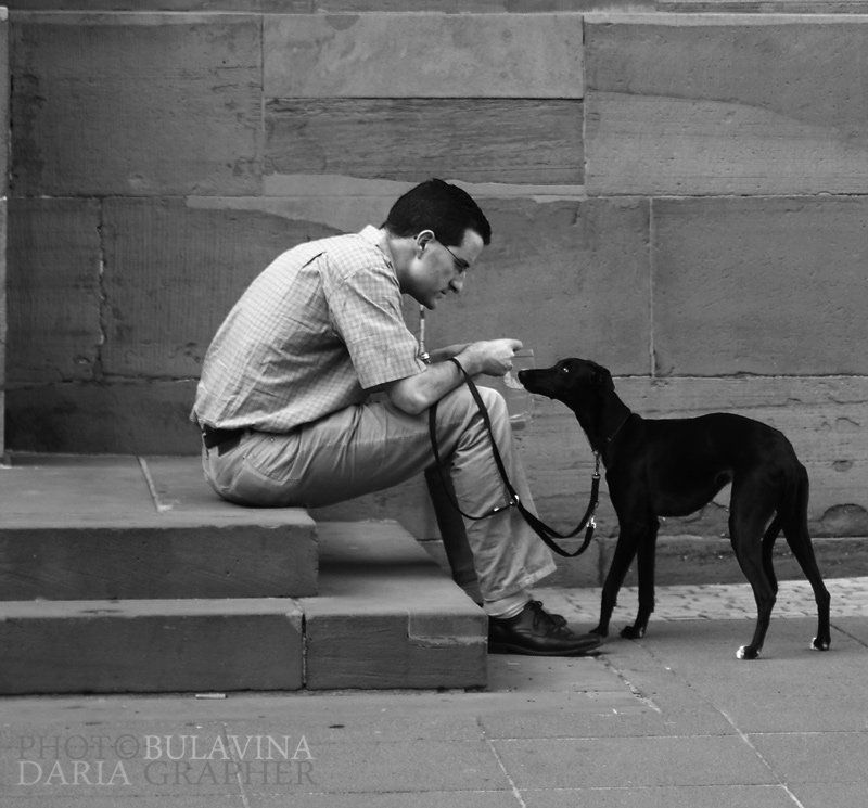 О лучших друзьях...photo preview