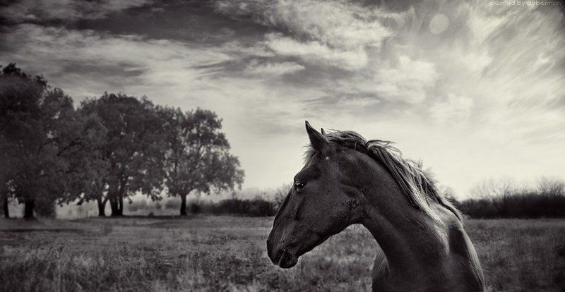 Грацияphoto preview