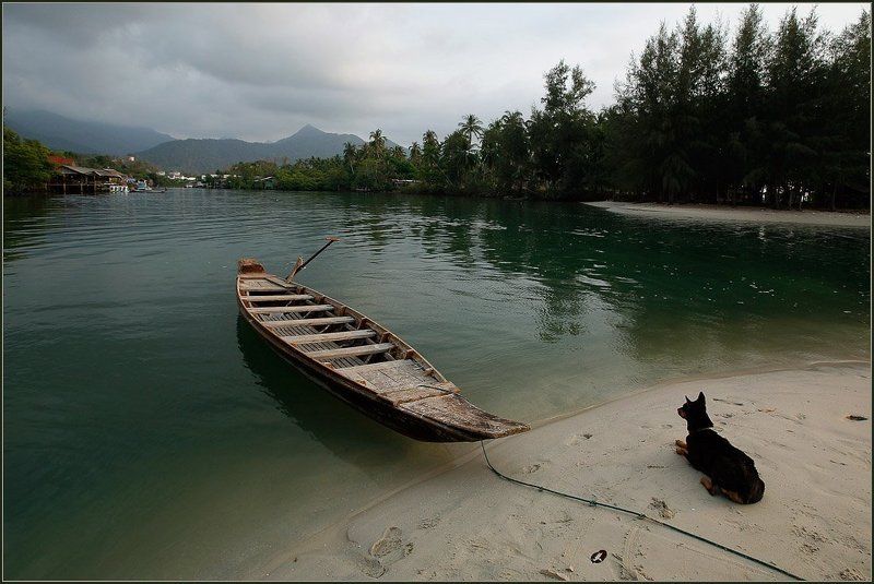 таиланд, ко, чанг, собака, залив, лодка, ожидание, причал, море, песок Ожиданиеphoto preview