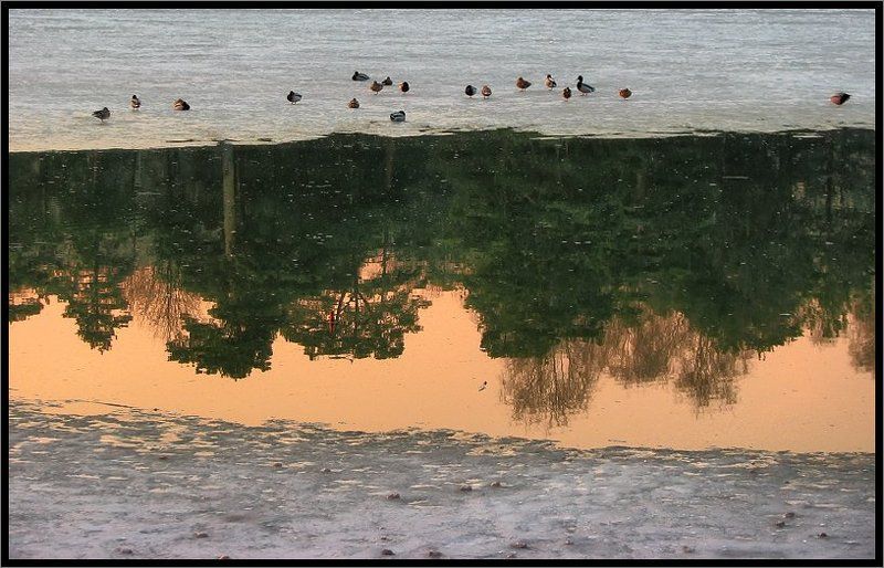 Поступь весныphoto preview