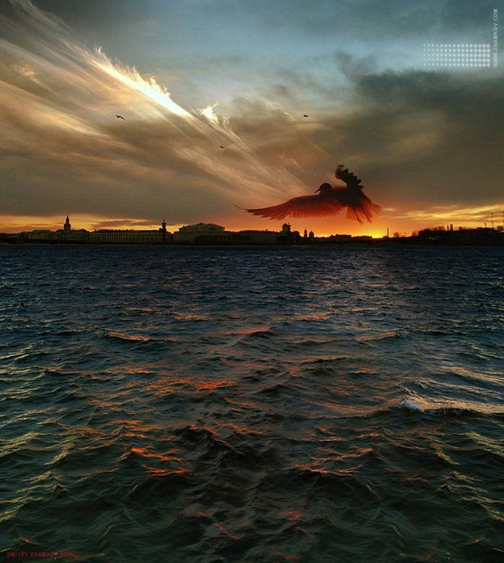 www,zhamkov,com дмитрий жамков пейзаж питер нева чайка арт бутик дмтрия жамкова Питерский Фениксphoto preview