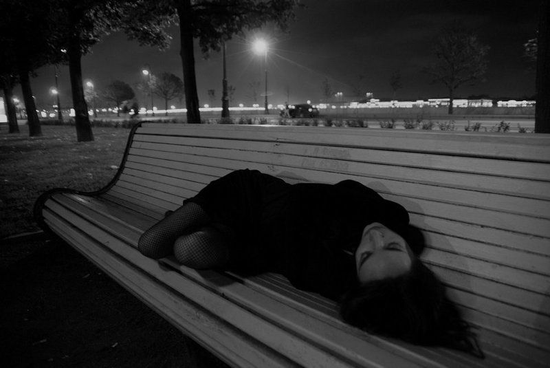 where,   bluebirds,  fly photo preview