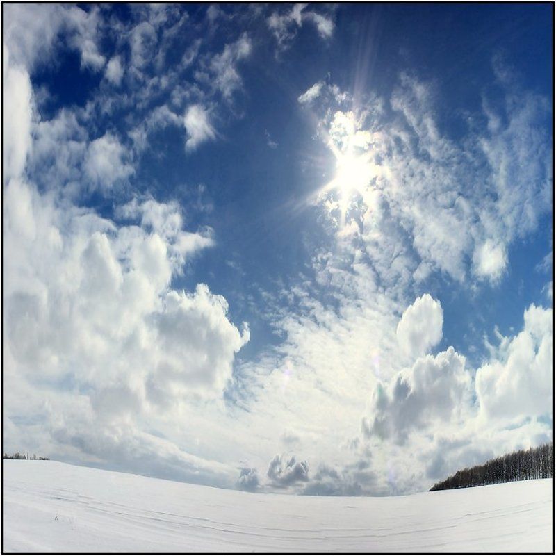 МАРТphoto preview