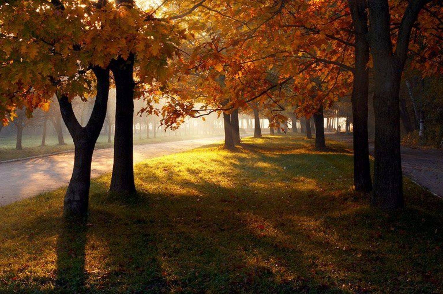 восход в осеннем парке. Автор: Pavel Reband , Pavel Reband