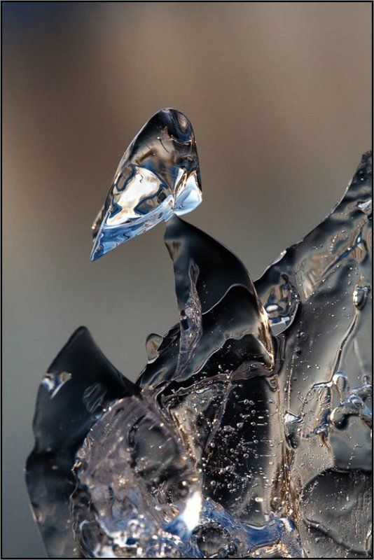 Ледяная пташкаphoto preview