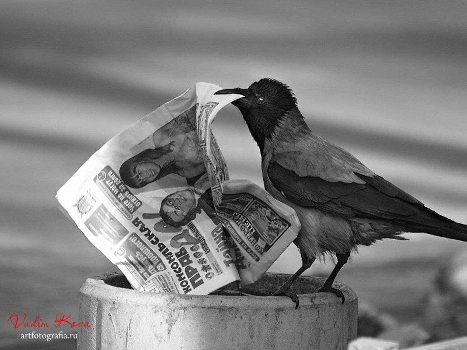 Новости для.... Автор: Vadik , Vadik