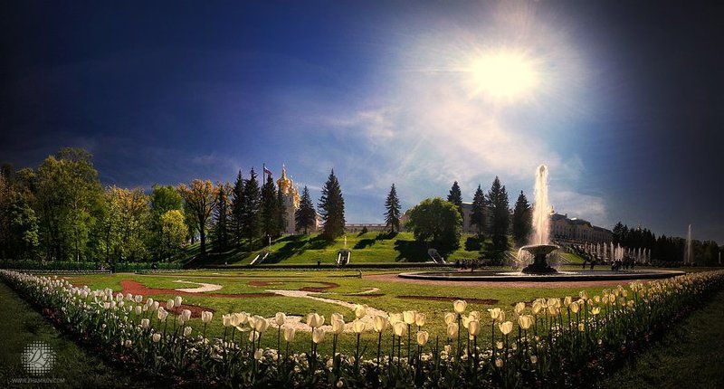 smile,www.zhamkov.com Smilephoto preview