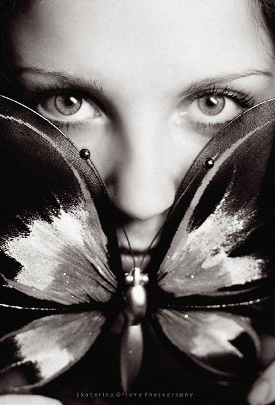 Butterflyphoto preview