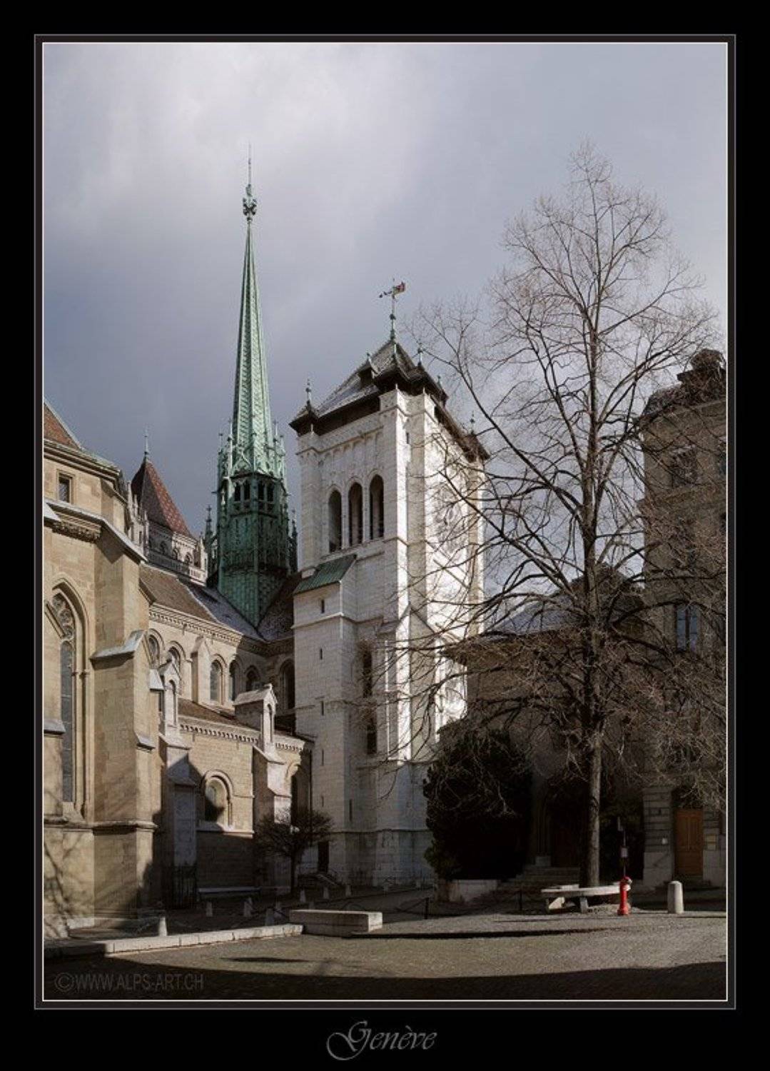 Из белого камня. Автор: Forest Elf , Forest Elf