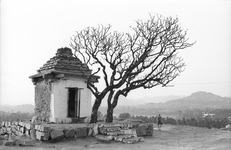 прошлоеphoto preview