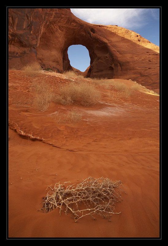 Ухо Ветраphoto preview