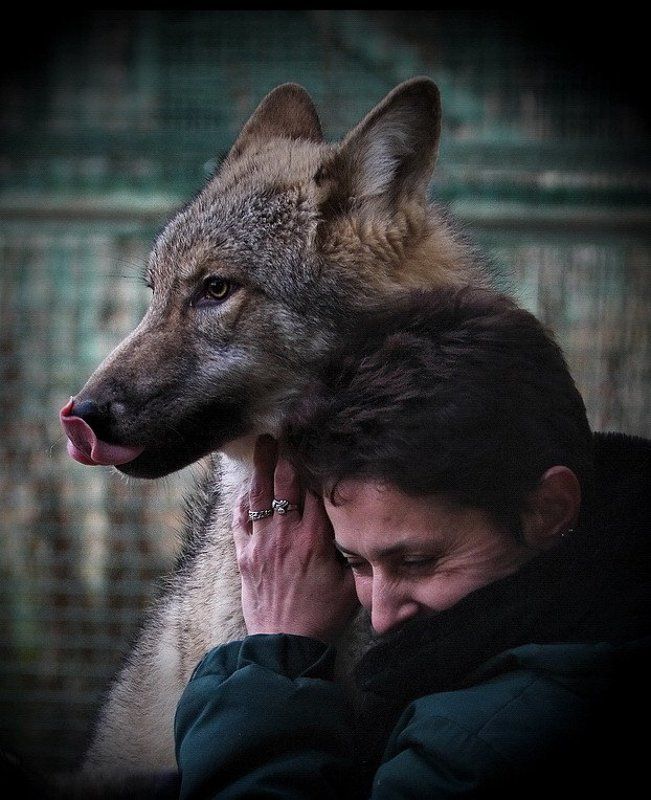 Мы с тобой одной кровиphoto preview