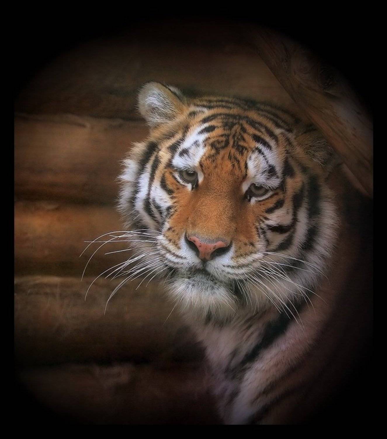 Grief. Автор: Lilia Tkachenko , Lilia Tkachenko