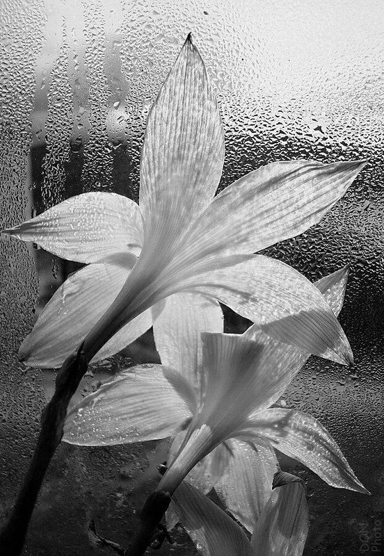 утро.photo preview