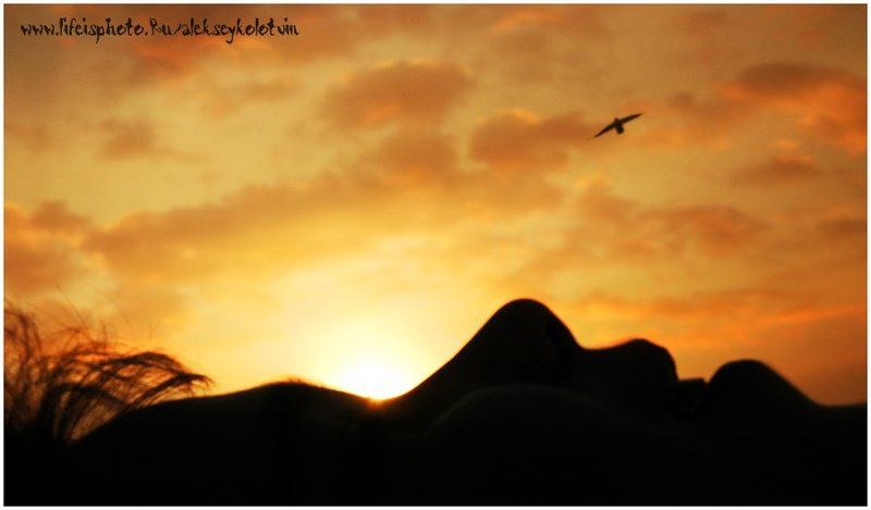 Я на солнышке лежу...photo preview