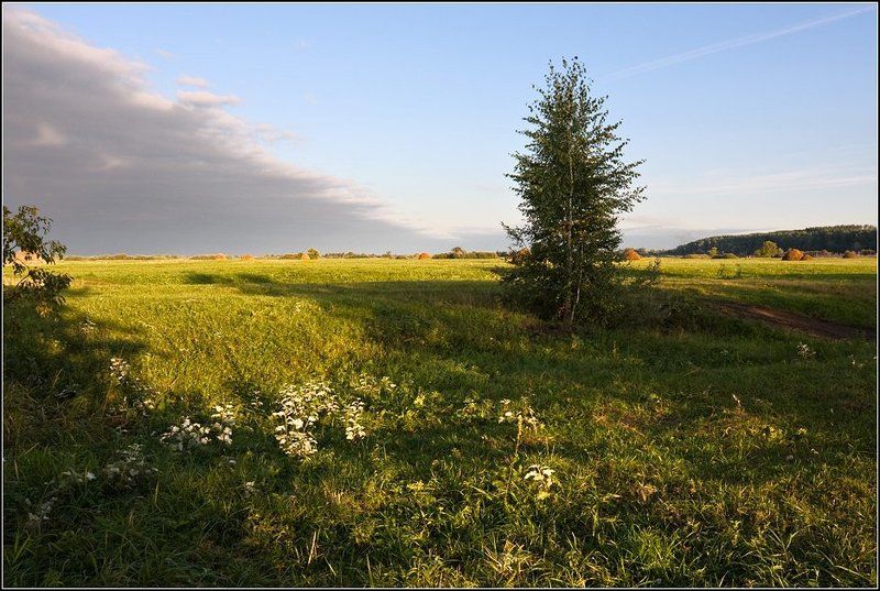 татарские, ямалы  фото превью