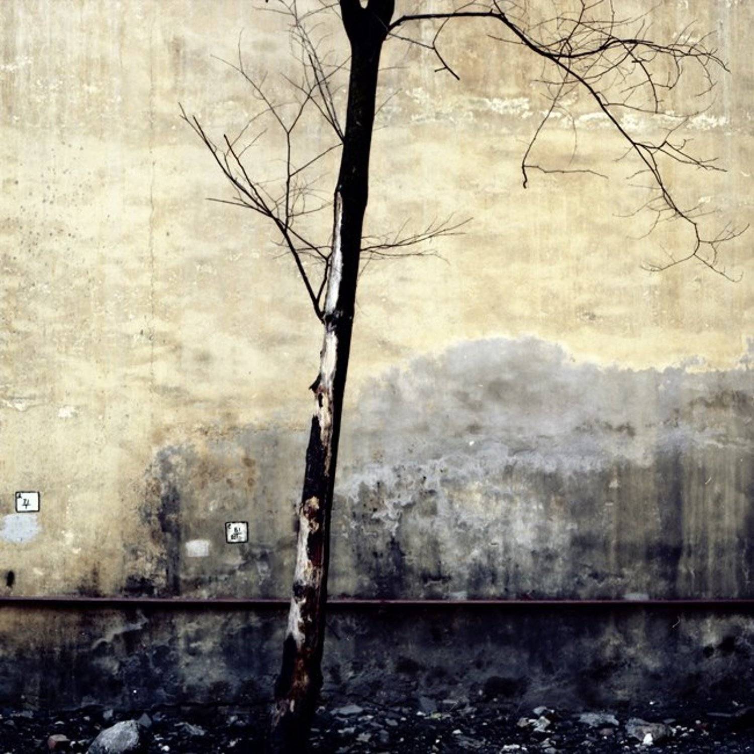 , Дмитрий Плотникофф