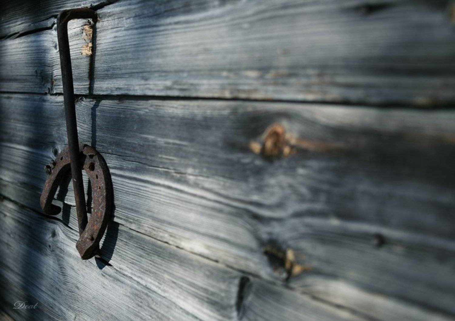 Забыта удача. Автор: Darn Cat предмет, подкова, повешенная, забытая, удача, Darn Cat