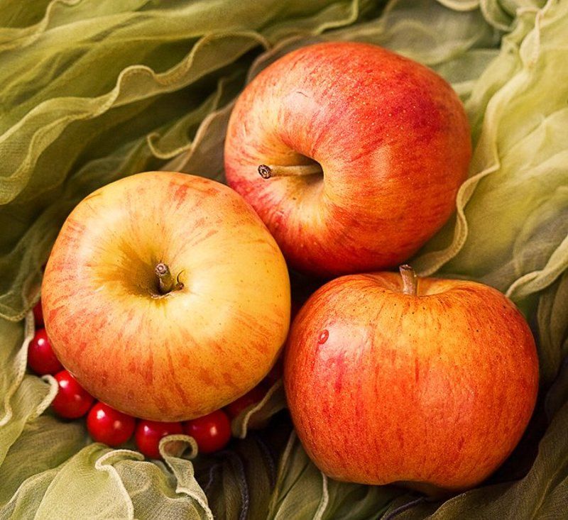 яблоко, лето летняяphoto preview