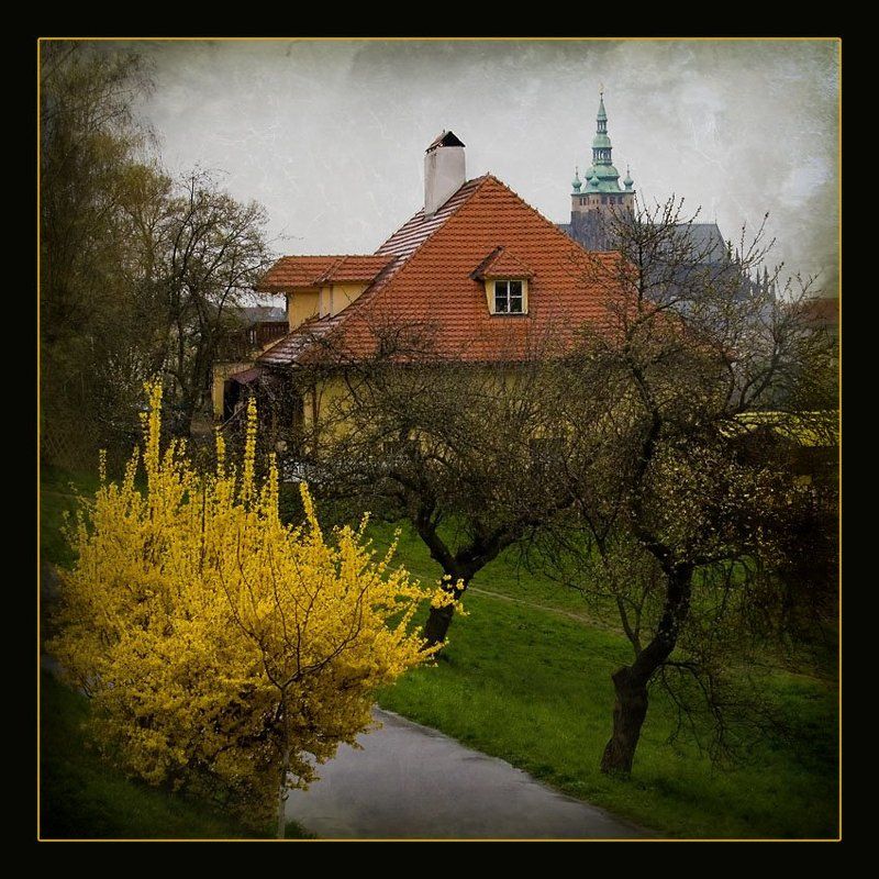 прага Прагаphoto preview