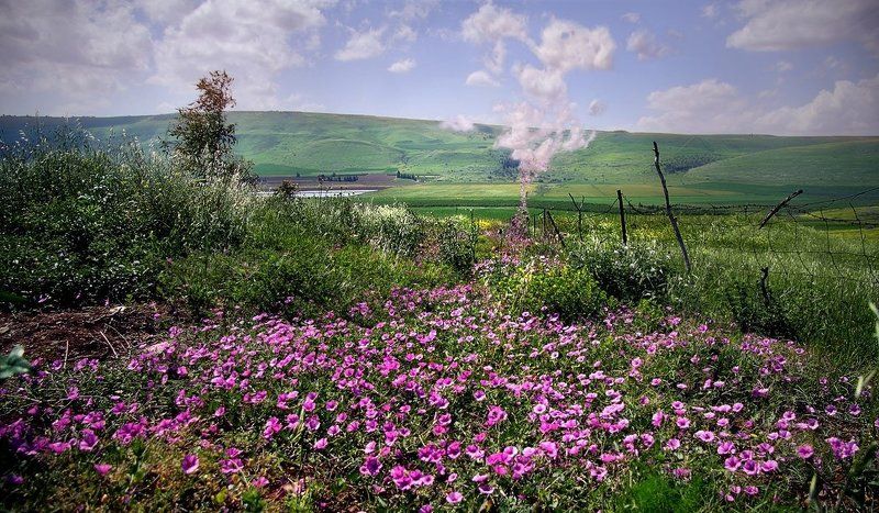 Тайна розовых облаковphoto preview