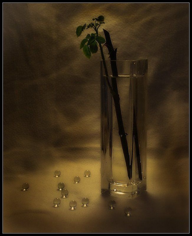 Жизнь в стекле...photo preview