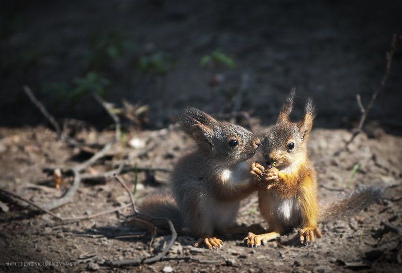А ты меня любишь?)photo preview