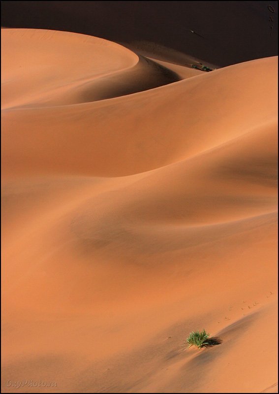 дюны, соссусвлеи, пустыня намиб, намибия, африка, dunes, sossusvlei, namib desert, namibia, africa О поверхностях кривизны высокого порядка...photo preview