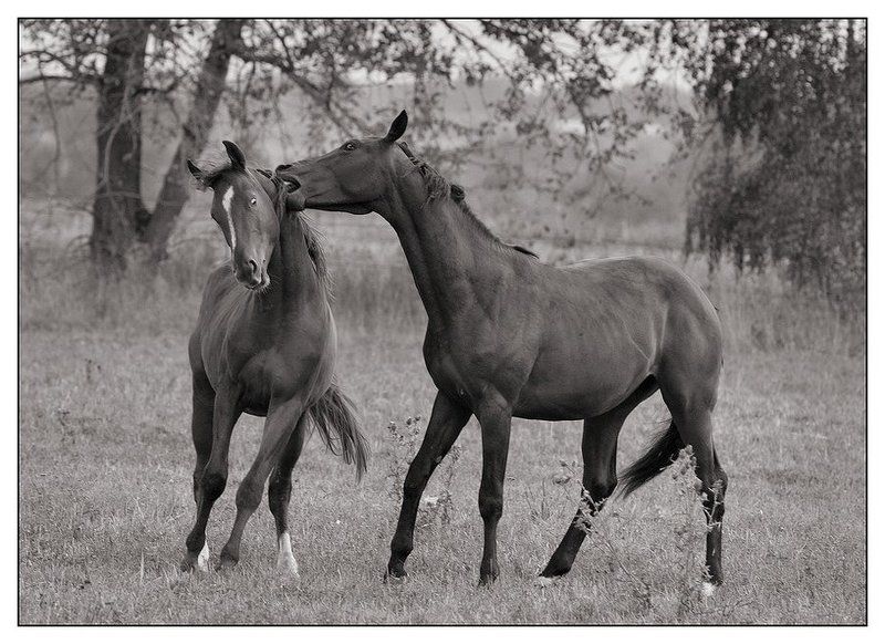 Игрыphoto preview