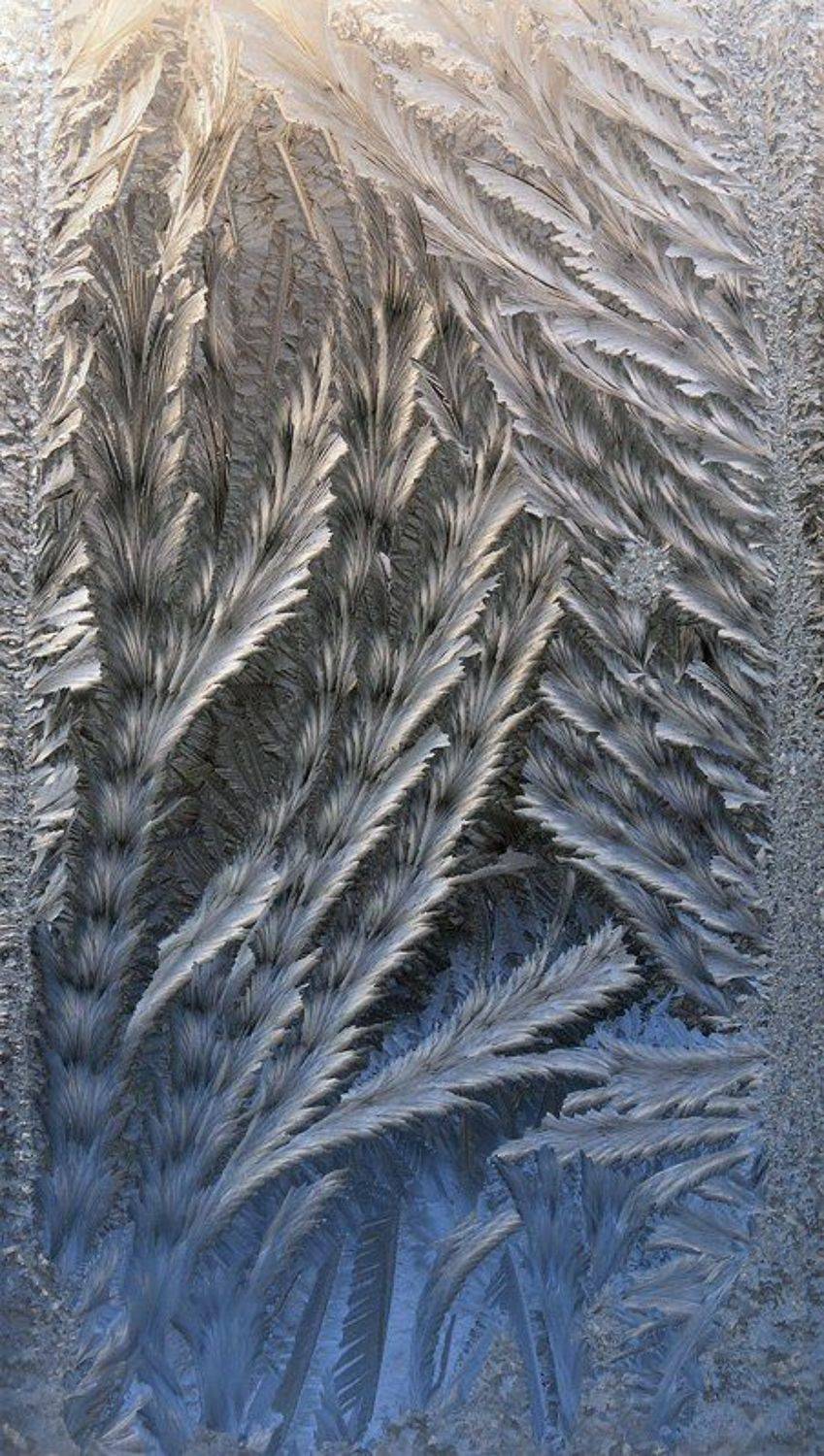 Мороз-кудесник. Автор: teamS , teamS