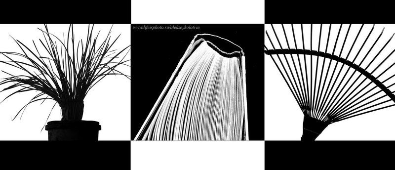 Взаимностьphoto preview