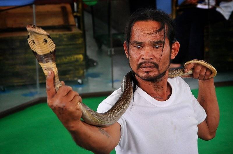 , Солохин Михаил