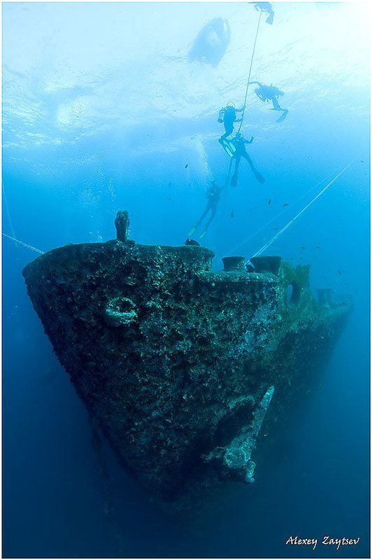 зайцев, обучение, подводной, фотографии, , красное, море, рэк Thistlegorm. Bow.photo preview