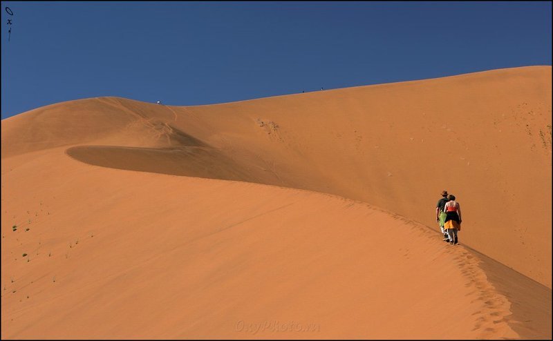 дюны, соссусвлеи, пустыня намиб, намибия, африка, dunes, sossusvlei, namib desert, namibia, africa Прогулки по большой песочнице...photo preview