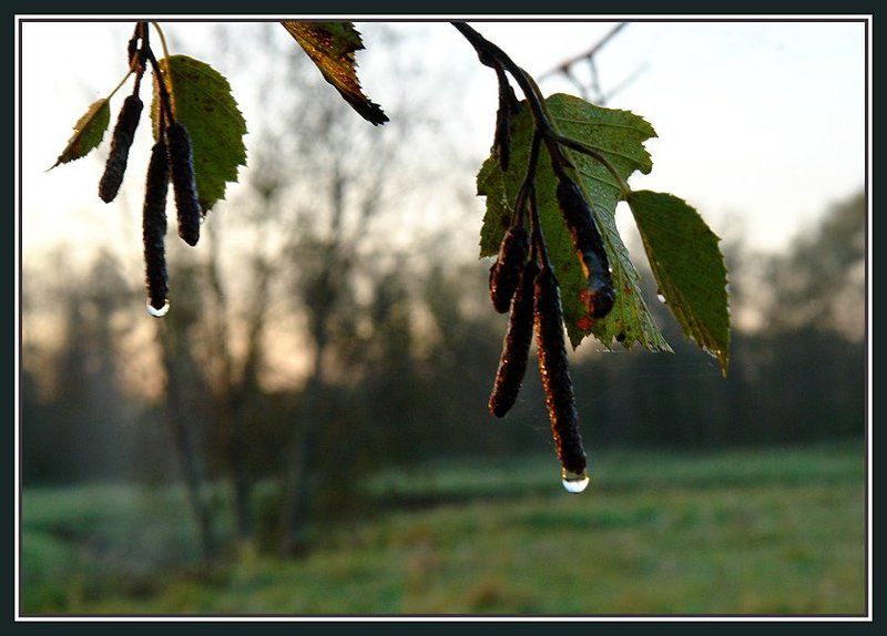 Сережки с камушками.photo preview