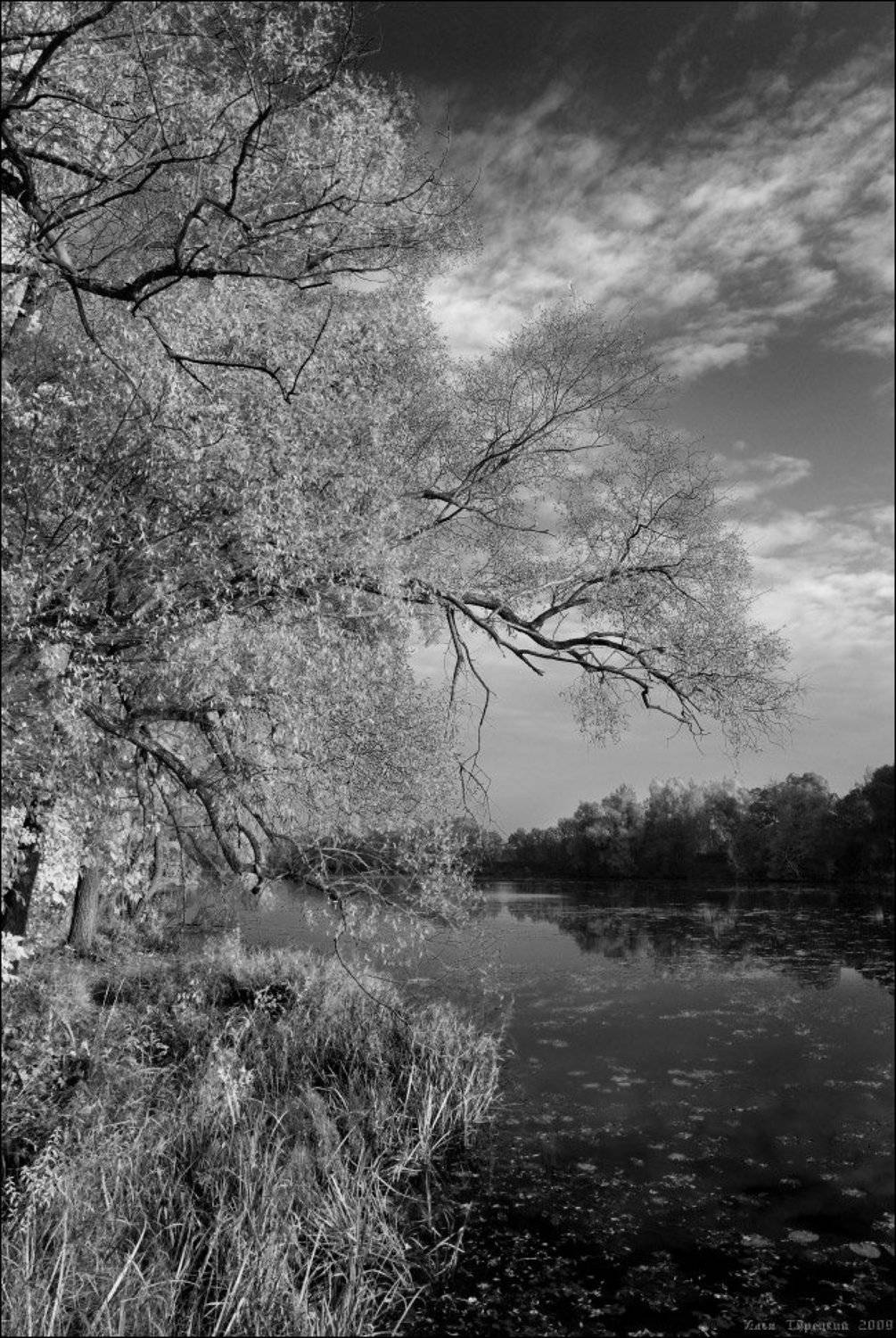 октябрьсая, гравюра, Илья Турецкий