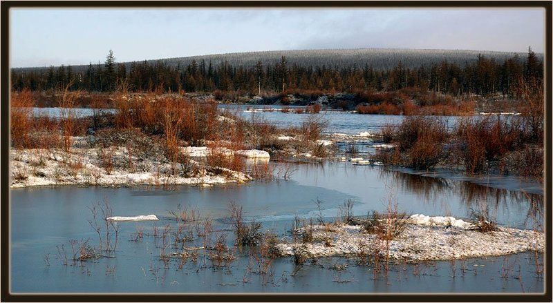 река, ледоход, тайга Весенние разливыphoto preview